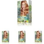 Maxx Deluxe Beauty Amonyaksız Set Saç Boyası 8.73 Altın Karamel (4 Paketi)