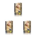 MAXX DELUXE BEAUTY EXPERT HAIR COLOR (KERATİN)'Lİ 1 KUTU (2 X 50 ML) (Açık Sarı 10.0) (3 paketi)