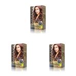 MAXX DELUXE BEAUTY EXPERT HAIR COLOR (KERATİN)'Lİ 1 KUTU (2 X 50 ML) (Gizemli Kızıl 4.6) (3 paketi)