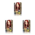 MAXX DELUXE BEAUTY EXPERT HAIR COLOR (KERATİN)'Lİ 1 KUTU (2 X 50 ML) (Kızıl Büyü 5.56) (3 paketi)