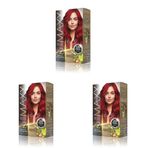 MAXX DELUXE BEAUTY EXPERT HAIR COLOR (KERATİN)'Lİ 1 KUTU (2 X 50 ML) (Nar Kızılı 5.65) (3 paketi)