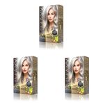 MAXX DELUXE BEAUTY EXPERT HAIR COLOR (KERETİN)'Lİ 1 KUTU (2 X 50 ML) (Titanyum Gri 0.02) (3 paketi)