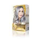 MAXX DELUXE Golden Beauty Set Saç Boyası 0.01 Füme Gri