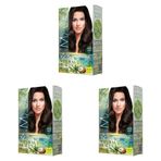 Maxx Deluxe Natural Beauty Amonyaksız Set Saç Boyası 4.0 Kahve (3 paketi)