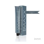 Maxx Deluxe Platinyum Gri Saç Boyası