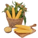 May Maysu F1 Tatlı Mısır Tohumu 2 kg