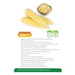 MAY TOHUM May Vega F1 Tatlı Mısır Tohumu 10000 Adet