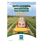 May VEGA F1 TATLI MISIR TOHUMU 10000 ADET 2024 ÜRETİM