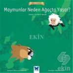 Maymunlar Neden Ağaçta Yaşar? - Kolektif