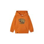 Mayoral Erkek Çocuk Kapüşonlu Sweatshirt Kiremit 4422 KİREMİT