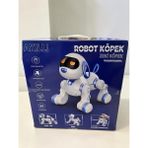 Mbb E-Ticaret 6601 Uzk Kumandalı Dans Edebilen Robot Köpek
