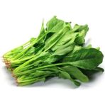 Mbb E-Ticaret Ispanak Tohumu 25 gr - 1 Paket