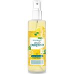 Mbb E-Ticaret Limon Kolonyası Sprey Ev Ofis Pratik Kullanım 100Ml