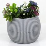 Mbb E-Ticaret Mercan 2 Numara 0,35 Litre Su Hazneli Dekoratif Kaktüs Sukulent Saksı 11,8X9,2 Cm