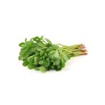 Mbb E-Ticaret Semizotu Tohumu 10 Gr