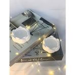 MC Concept Dekoratif 2'li Beton Lotus Soya Mum Set Çok Renkli