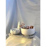 MC Concept Mermer Desen Büyük Organizer Tabak Beton Kase Aromaterapi Çam Ağacı Lotus Soya Mum Set Çok Renkli