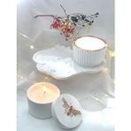 MC Concept Organizer Tabak Beton Kapaklı Petek Desen Kase Soya Mum Beton Organizer Kase Set Çok Renkli