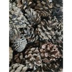 Mçb Group 1000 Gram Doğal Çam Kozalak Çırası 1 kg Çıra Mangal ,soba, Şömine ,barbekü, Mangal Tutuşturucu - 1 Adet