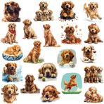 McEtt Golden Retriever Köpek Çıkartma Sayfaları - Çocuklar Öğrenciler Gençler Goldie Severler için Sevimli Golden Retriever Çıkartmalar - 5 Sayfalık Paket (105 Adet) - Doğum Günü Partisi Hediyeleri,