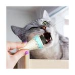 MCM Group Dondurma Şeklinde Kedi Otu Nanesi