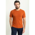 MCR Çizgi Desenli Kiremit Rengi Slim Fit Bisiklet Yaka Erkek T-Shirt