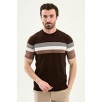 MCR Çizgili Slim Fit Bisiklet Yaka Erkek Triko T-Shirt - Kahverengi - XL
