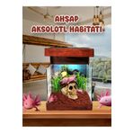 MDİZMİR Ahşap Aksolotl Habitat 20 Cm Aksolotl Teraryumu Aksolotl Akvaryumu