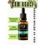 Me Ama Çam Ağacı Uçucu Yağ Buhurdanlık Yağı Aromaterapi Yağ Difizör Esansı Buhur Yağ Oda Kokusu 10 Ml.