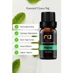 Me Ama Nane-mentol Uçucu Yağ Buhurdanlık Yağı Aromaterapi Yağ Difizör Esansı Buhur Yağ Oda Kokusu 10 Ml.