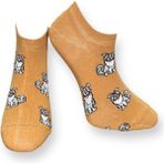 Me-Vo Unisex Köpek Patik Çorap - Kahverengi - 36 - 44