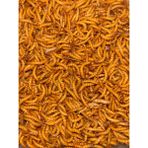 Mealworn 200 Adet Akvaryum Balığı Yemi ve Kanatlı Yemi(Unkurdu) - 1