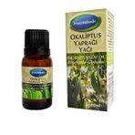 Mecitefendi 10 ml Okaliptus Yaprağı Yağı