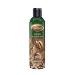 Mecitefendi 250 ml Kafein Şampuanı
