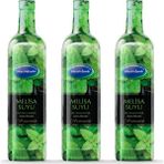 Mecitefendi 3x1 lt Melisa Suyu