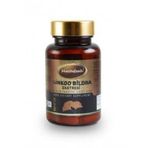 Mecitefendi Ginkgo Biloba 60 Kapsül