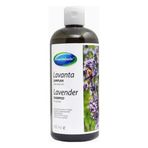 Mecitefendi Lavanta 400 ml Şampuanı