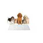 MEDİKALBİM TYC4D7A91DE843D700 Kedi Köpek Çiş Pedi 60X90 Cm 30' Lu Paket Yatak Koruyucu Serme