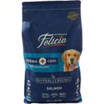 Medium Somonlu Yetişkin Köpek Mamasi 3 kg - 1