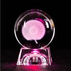 MEEC Lazer gravürlü hologram, 3D cam küre, renkli LED ışıklı, ofis dekorasyonu, hediye kutusu ile (Dandelion 80 mm)