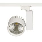 Mega COB Led Ray Spot 40 Watt (Ilık Beyaz 4000K)