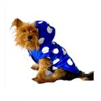 Mega Dots Blue Yağmurluk Kapşonlu Köpek Yağmurluğu