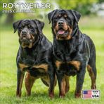 MegaCalendars - Rottweiler Calendar 2024 - Dog Breed Wall Calendar