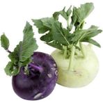 megcito Kolhrabı Alabaş ( Çoklu Tohum ) - 2 Gram