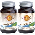 Meka Nutrition Boswellia Serrata 2x120 Tablet