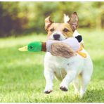 Meks Sesli Ördek Şekilli Peluş Köpek Oyuncağı