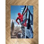 Mekta Home Bebek ve Çocuk Odası Spider-Man Desenli Halı - Renkli - 80 x 150 cm