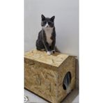 Melada Mobilya Kedi Evi Dış Ortam Uygun Ahşap Kedi Evi Osb 39x37x34 cm