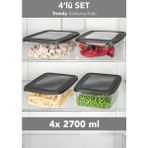 Meleni Home 4'lü Trendy Buzdolabı Düzenleyici - Mikrodalga ve Difrize Uygun Organizer Saklama Difriz Kabı 2700ML - 2,7 lt - Şeffaf