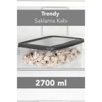 Meleni Home Trendy Buzdolabı Düzenleyici - Mikrodalga ve Difrize Uygun Organizer Saklama Difriz Kabı 2700ML - 2,7 lt - Şeffaf